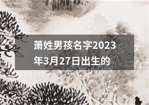 蕭姓男孩名字2023年3月27日出生的